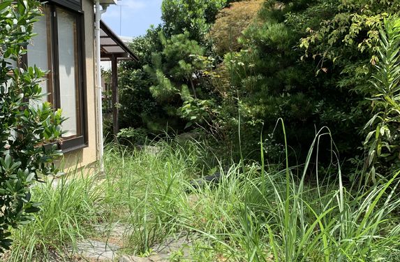 生い茂るお庭も…